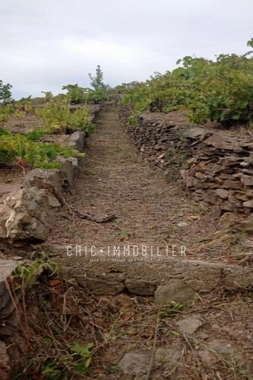 2 - venda terreno collioure pyrénées orientales frança