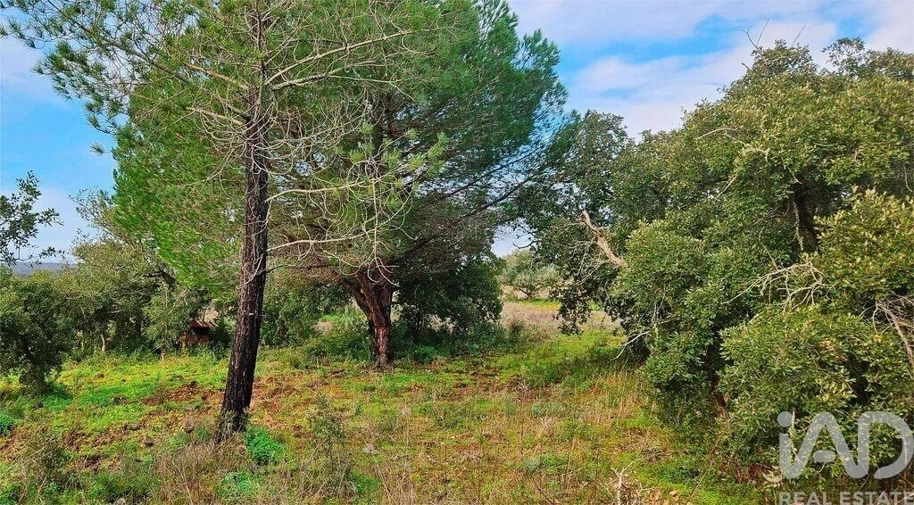 2 - venda terreno barão de são joão algarve portugal