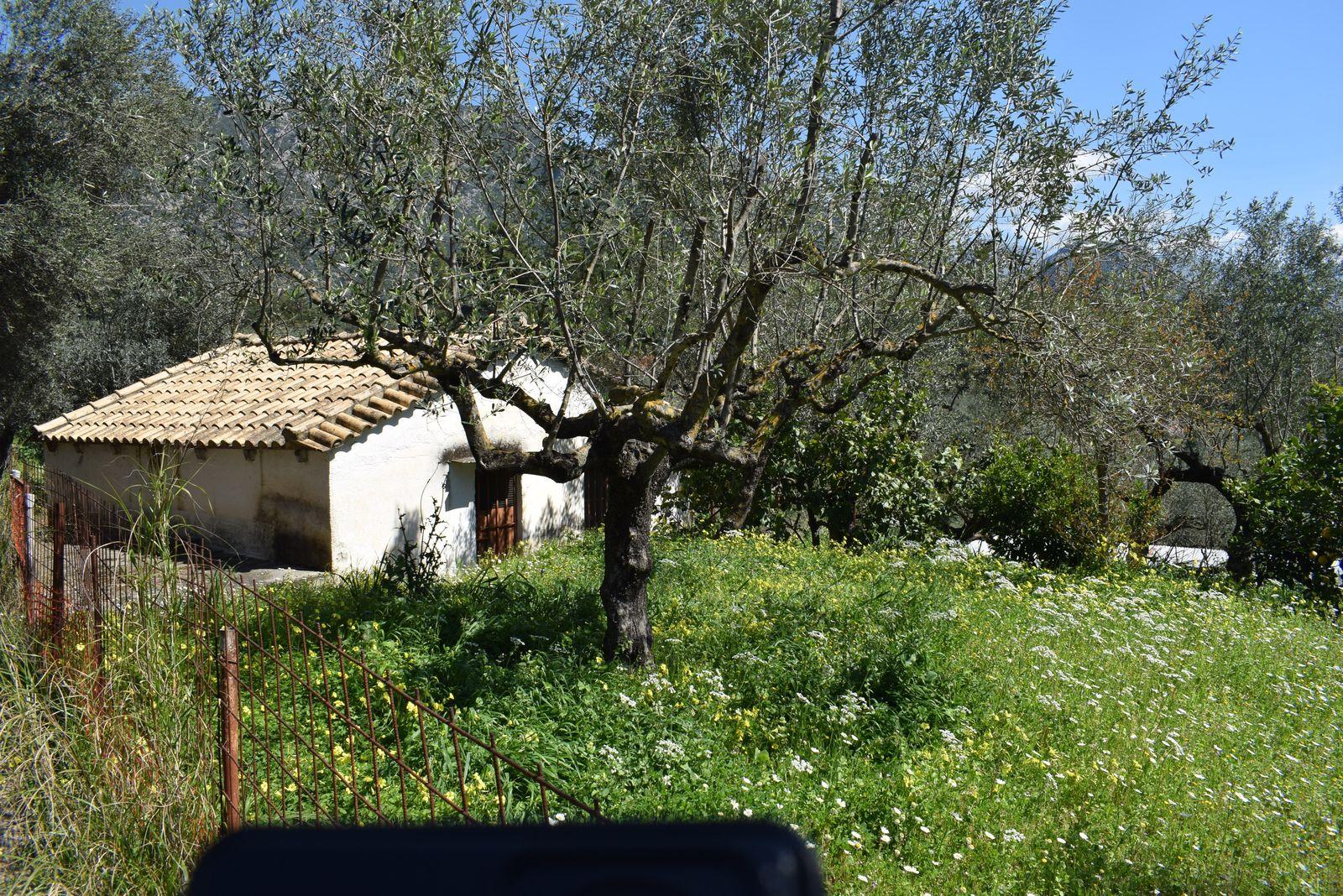 1 - venta casa kámpos peloponeso grecia