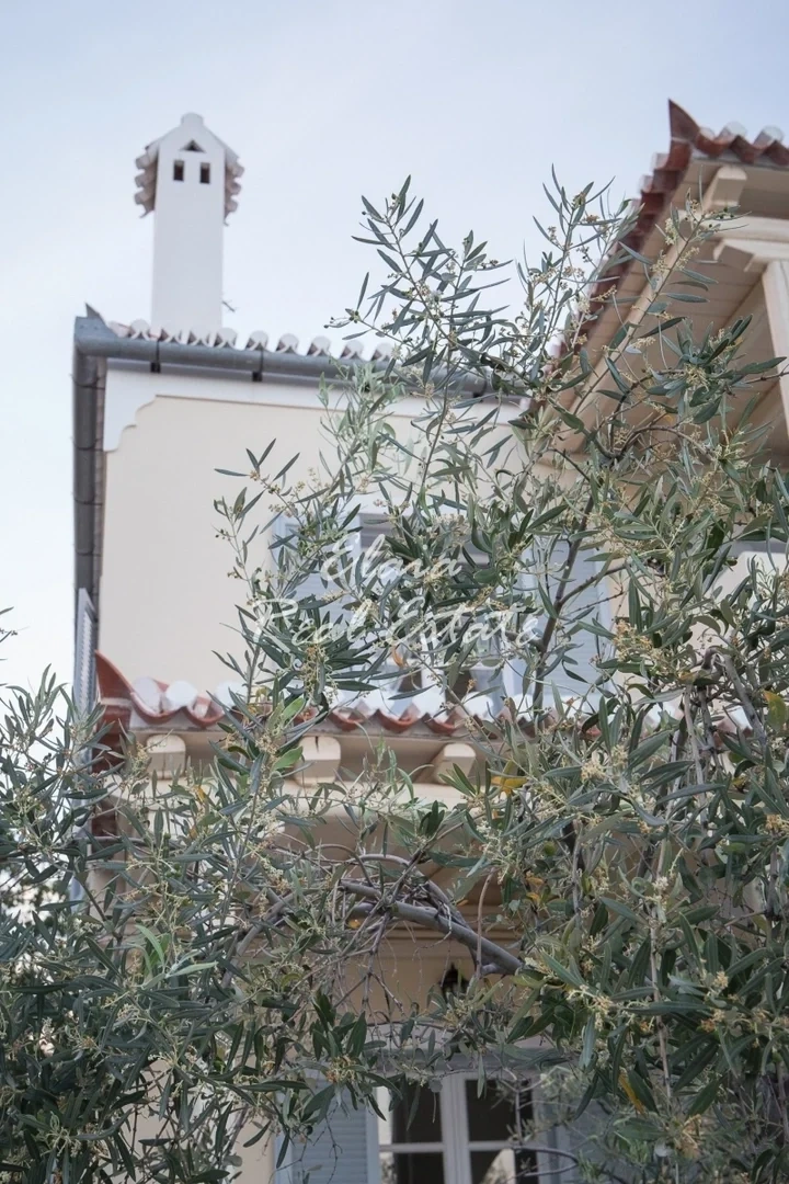 2 - venta comercio a pie de playa spetses ática grecia