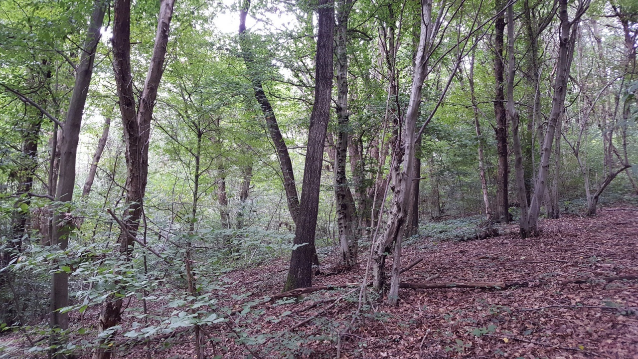 2 - plot of land for sale in volpago del montello veneto italy