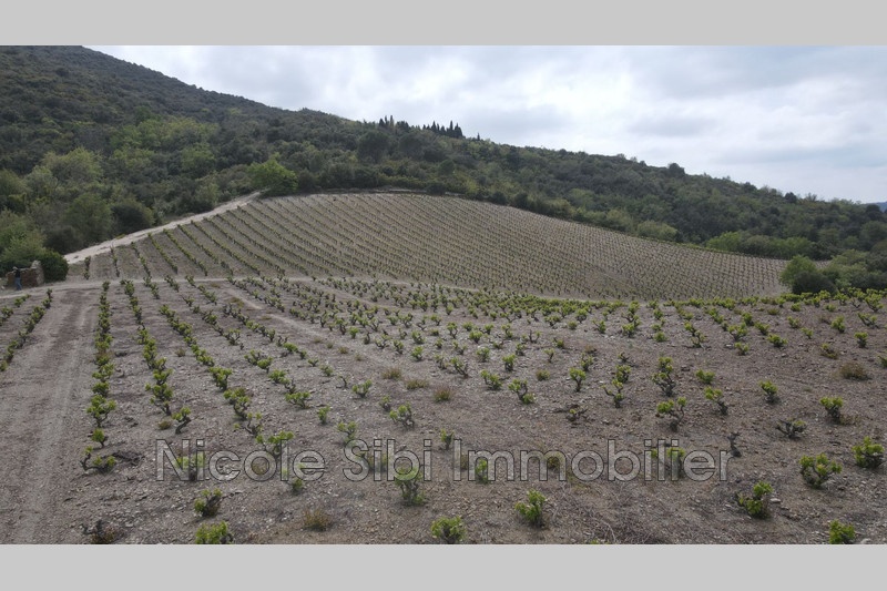 2 - verkoop terrein montner pyrénées-orientales frankrijk