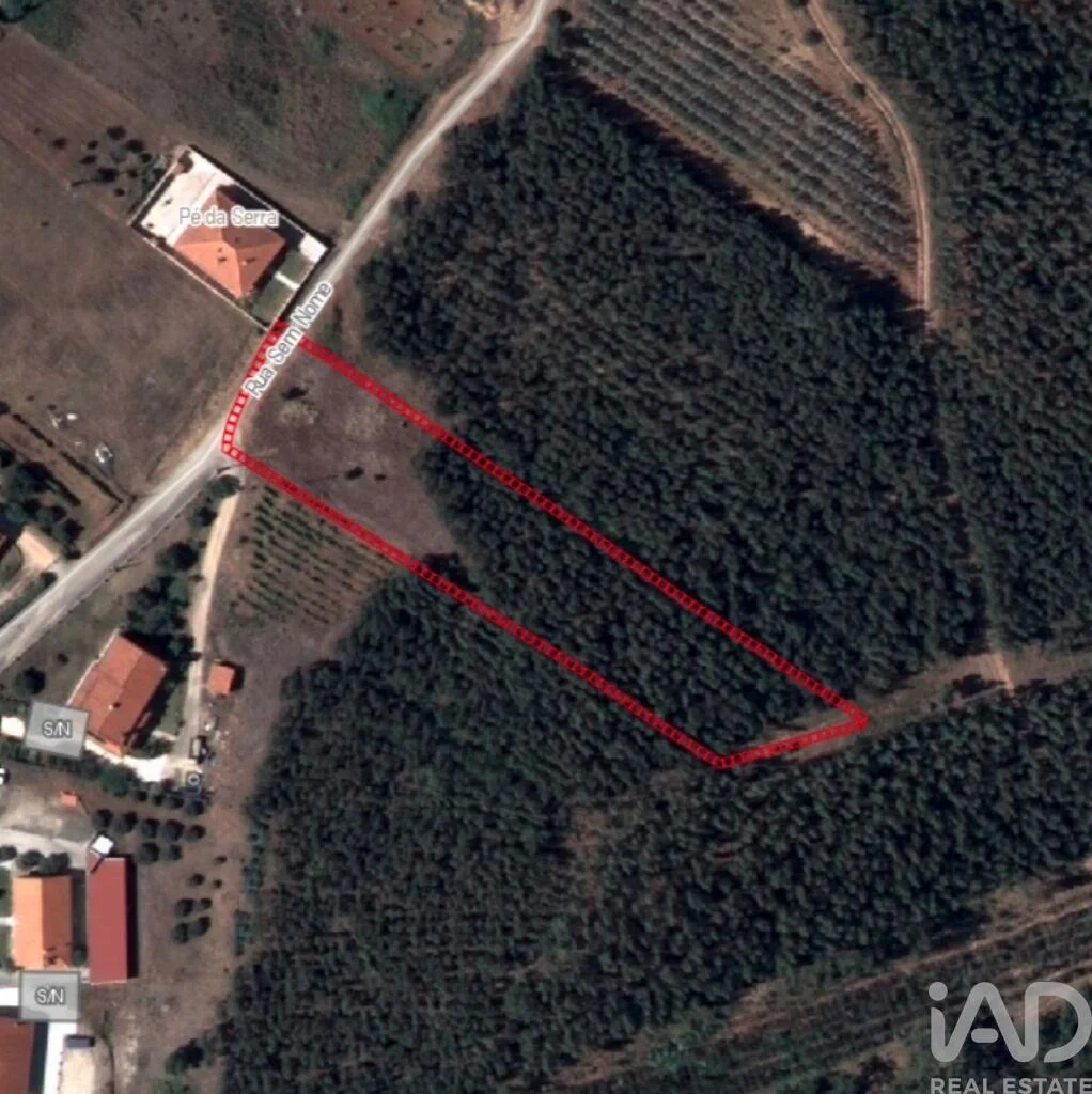 2 - plot of land for sale in rio maior alentejo portugal