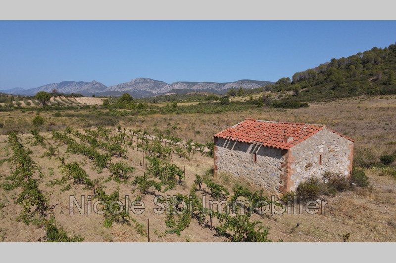 2 - verkoop terrein tautavel pyrénées-orientales frankrijk