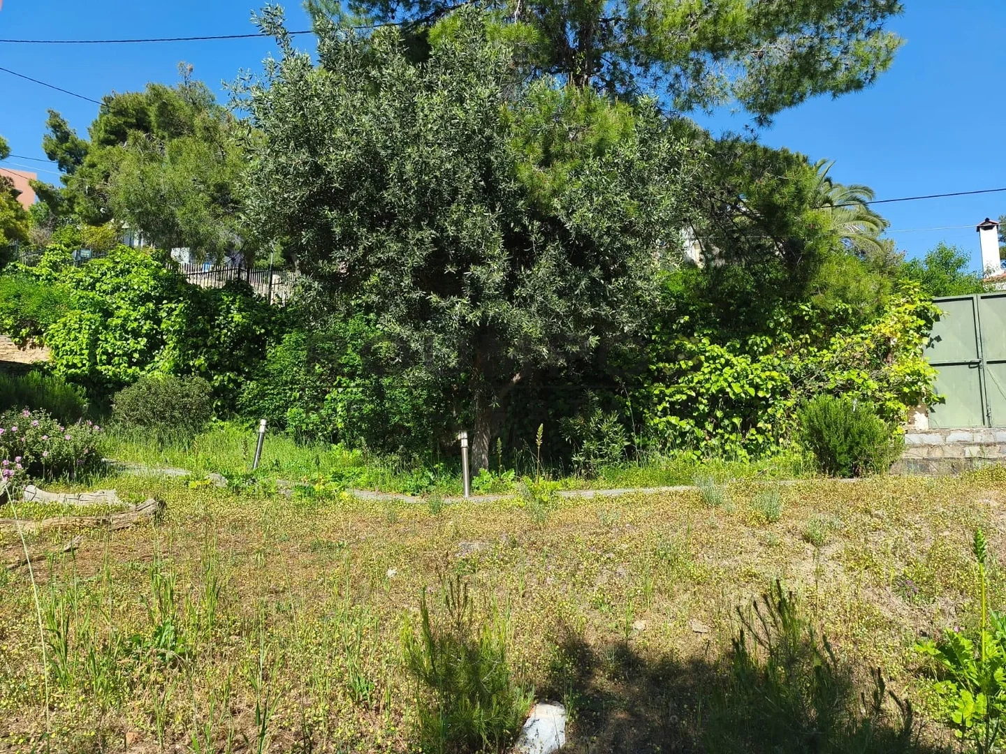 2 - vente terrain vue mer penteli attique grèce