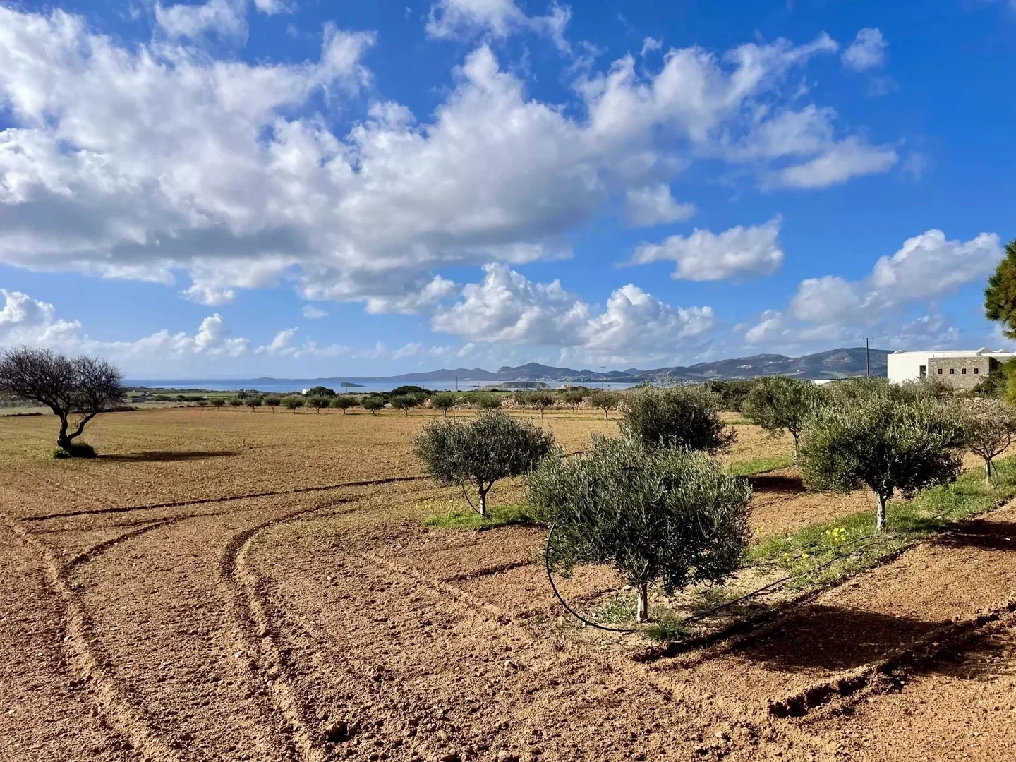 2 - verkauf grundstück meerblick paros - kykladen südliche ägäis griechenland