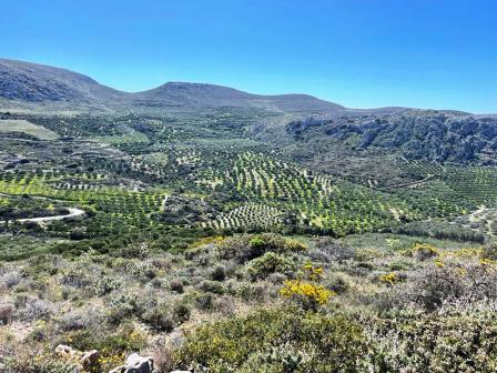 2 - vendita terreno lithínes creta grecia