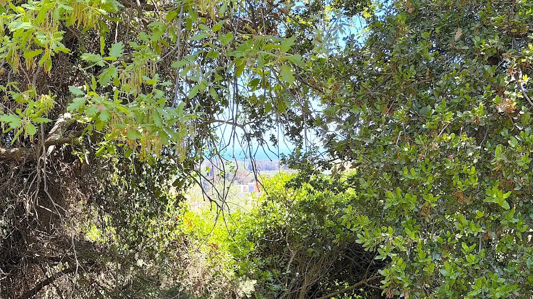 2 - sea view plot of land for sale in vámos crete greece
