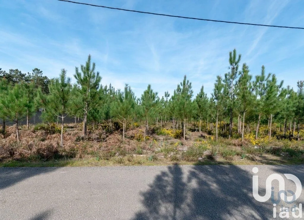 2 - venta terreno marinha grande región centro portugal
