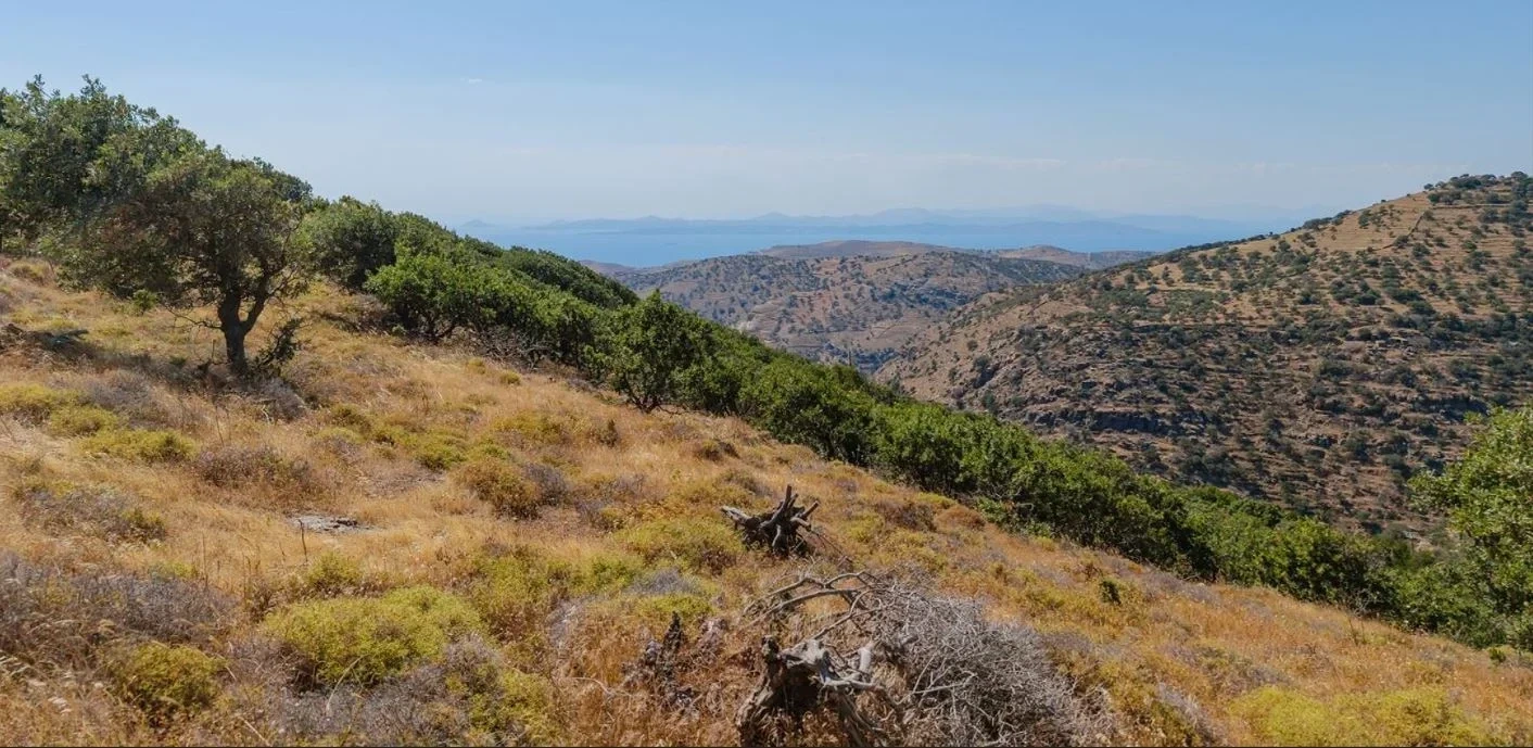1 - sea view plot of land for sale in kea - cyclades south aegean greece