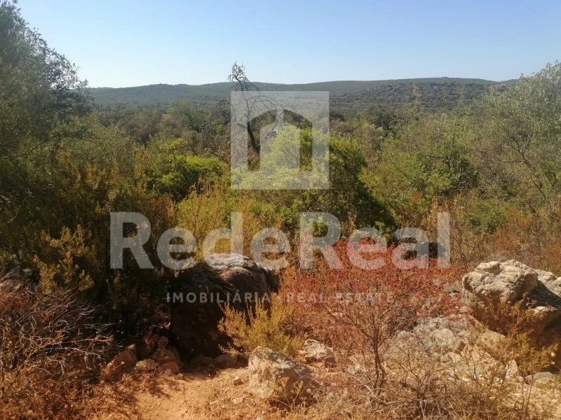 2 - venda terreno querença algarve portugal