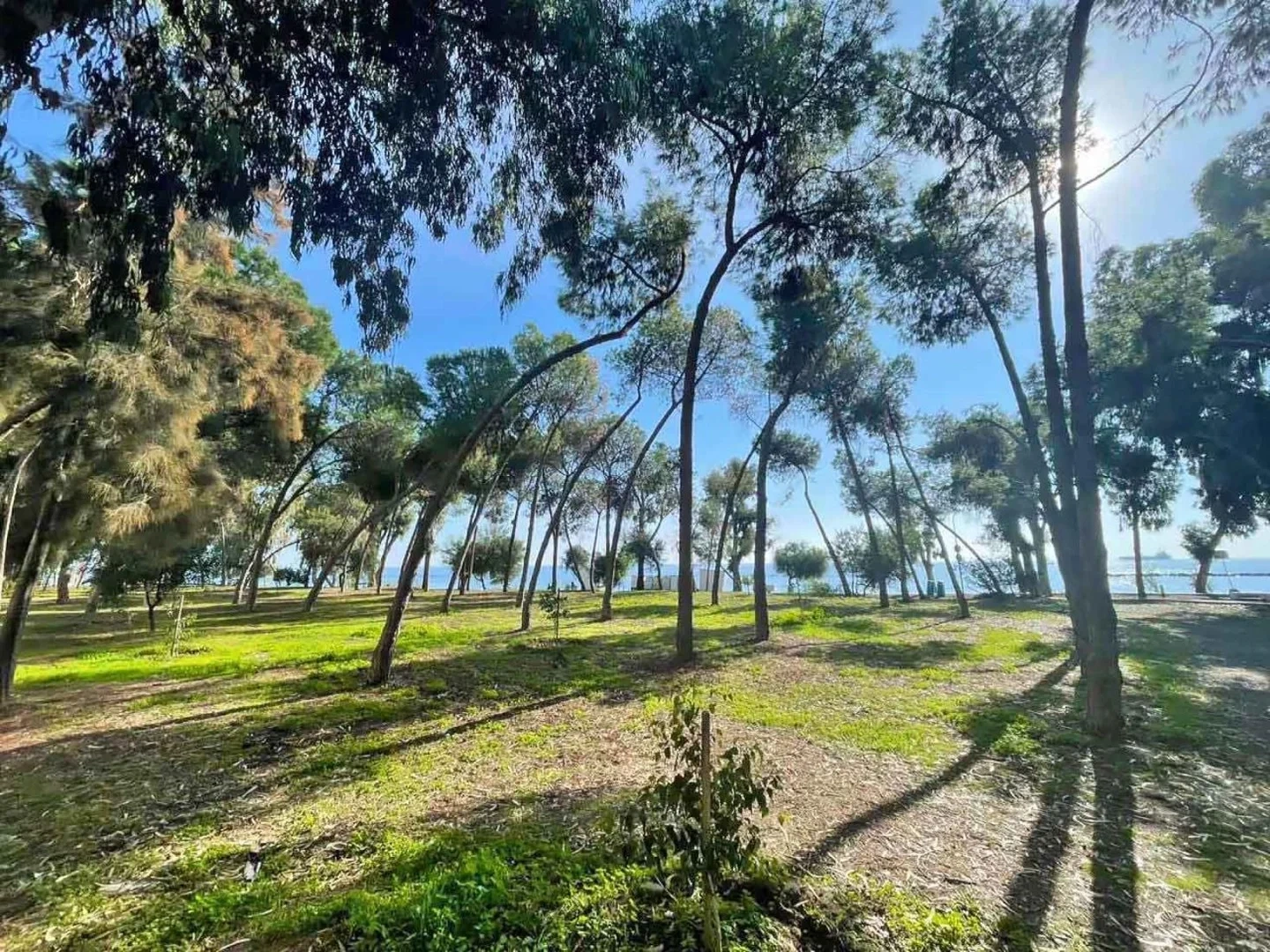 2 - venta apartamento frente al mar yermasoyia limassol chipre