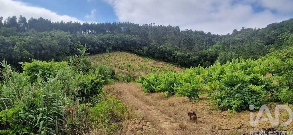2 - plot of land for sale in mafra lisbon region portugal