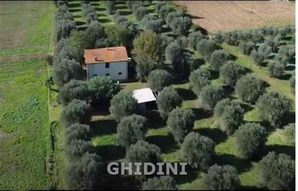 1 - business for sale in campagnatico tuscany italy