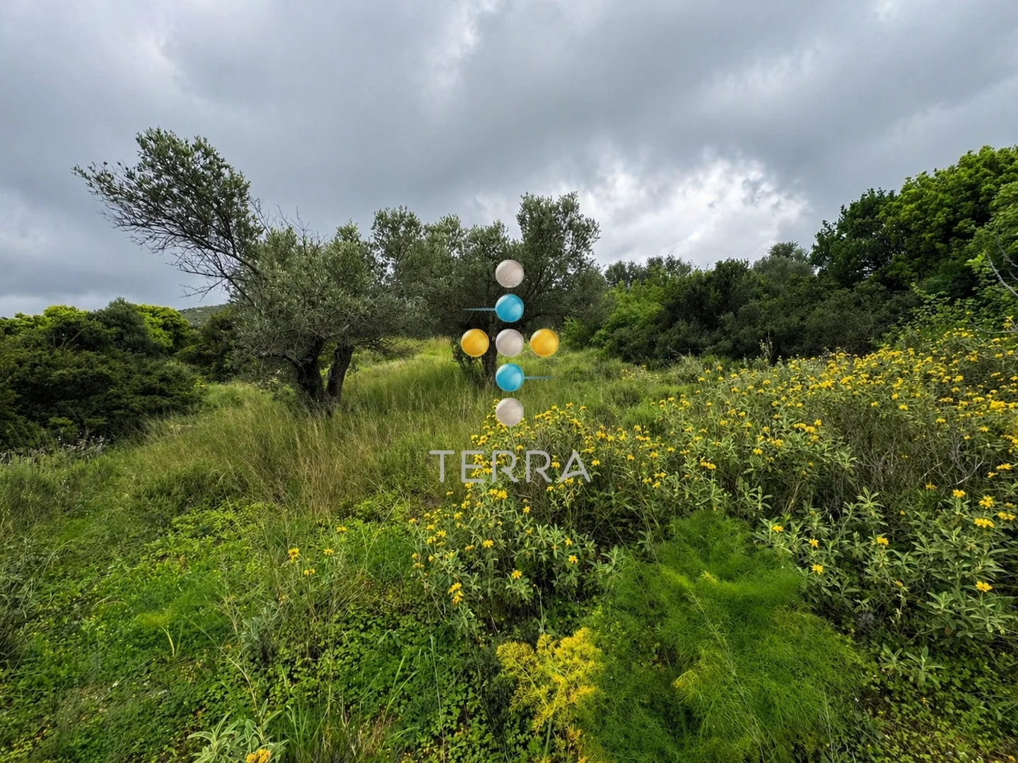 2 - vente terrain vue mer arkádi crète grèce