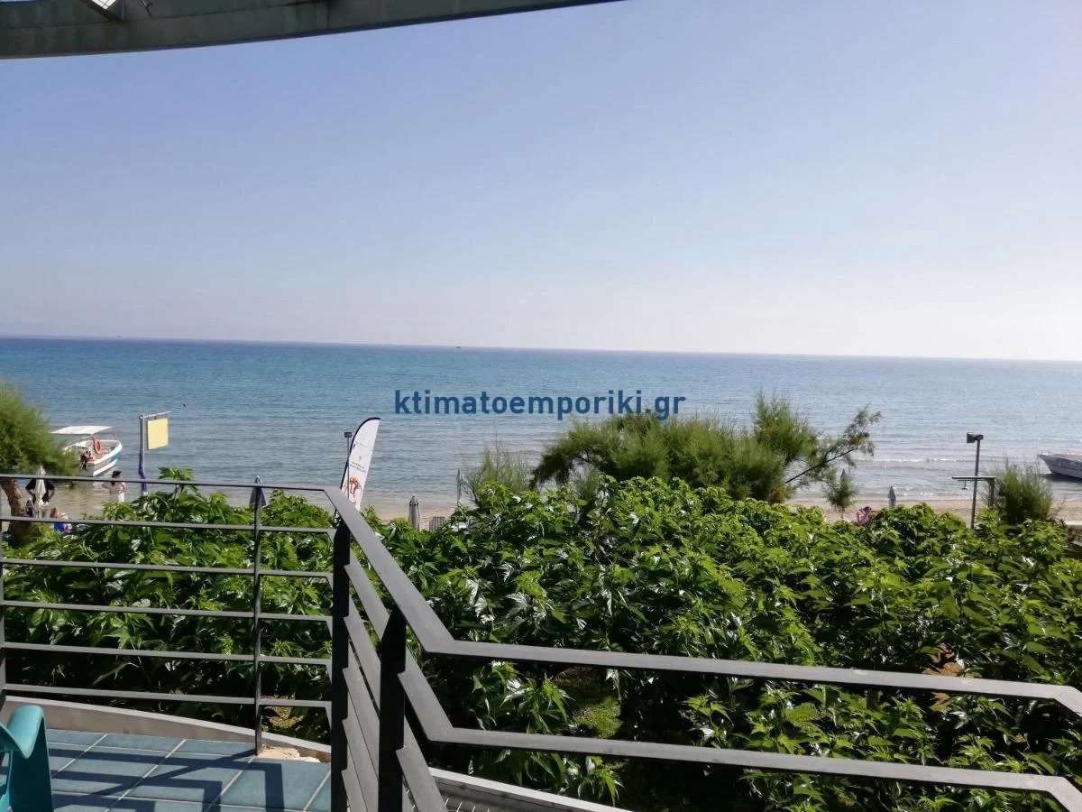 2 - vente commerce pieds dans l'eau zante îles ioniennes grèce
