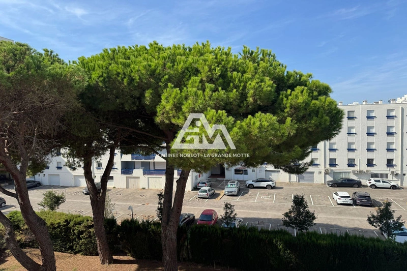 2 - vendita appartamento la grande-motte herault francia