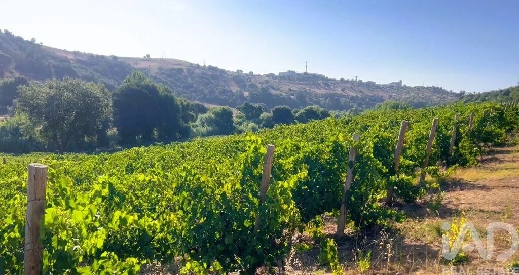 1 - vendita proprietà santarém alentejo portogallo