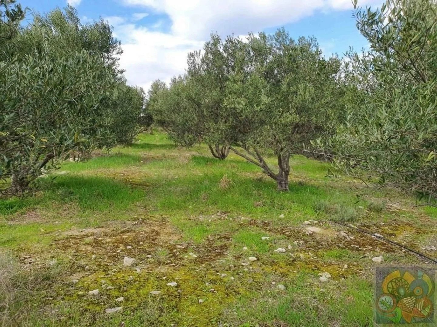 2 - venta terreno pitsídia creta grecia
