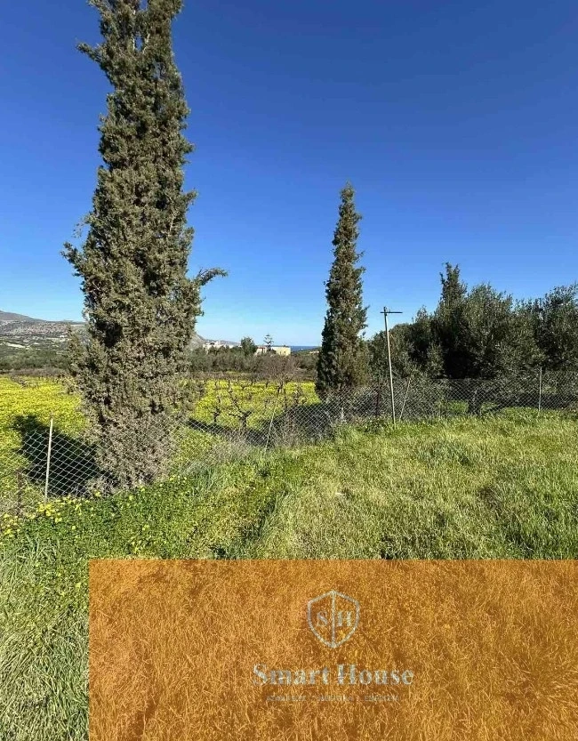 1 - vendita terreno gázi creta grecia