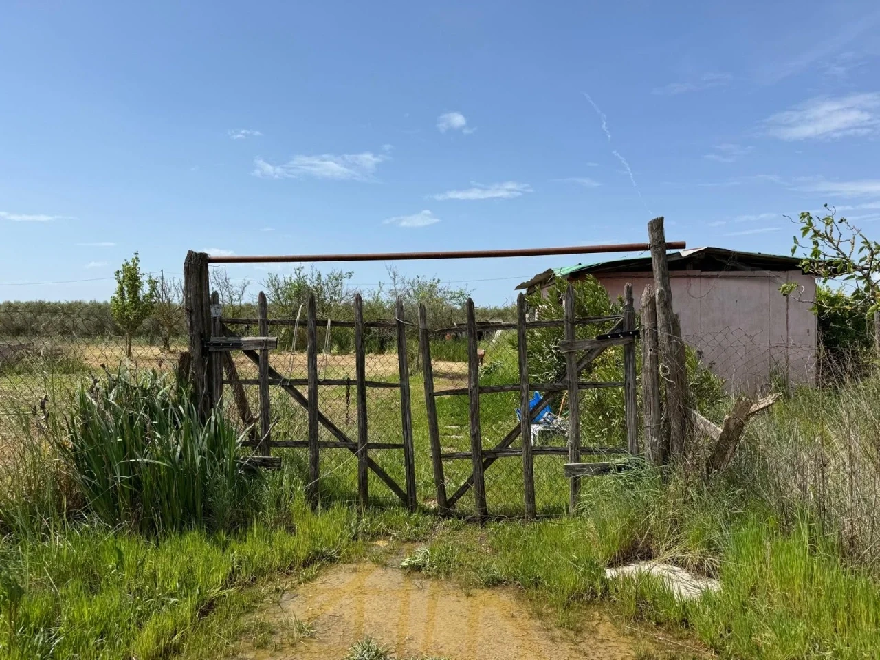 1 - vente terrain grosseto toscane italie