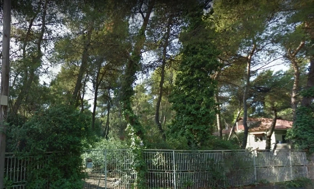 1 - plot of land for sale in drosia attica greece