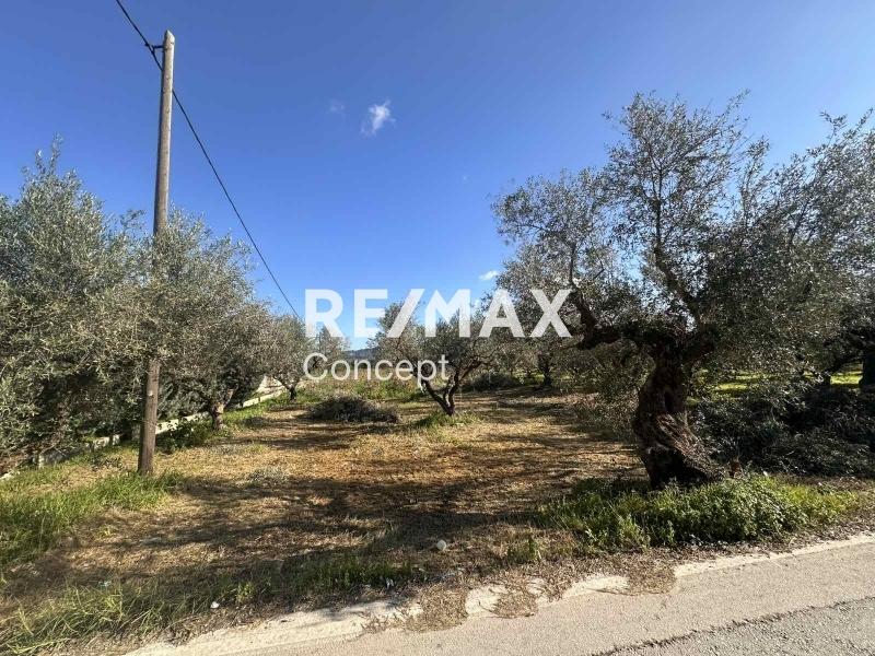 1 - vendita terreno zante isole ioniche grecia