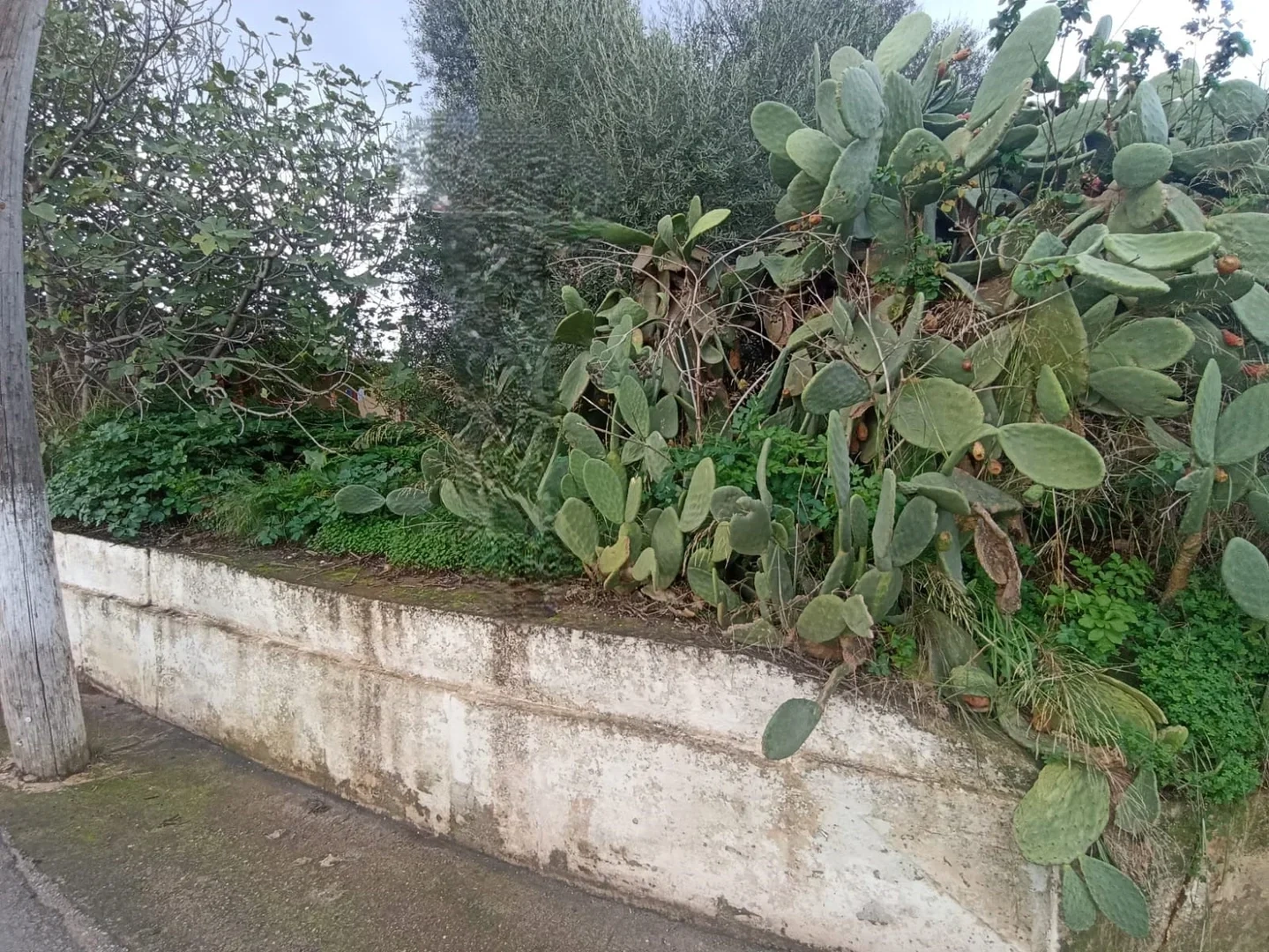 2 - vente terrain perivólia crète grèce