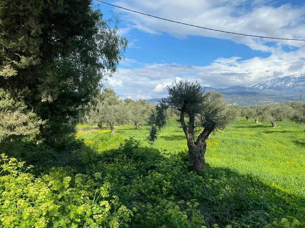2 - beach walk plot of land for sale in tympáki crete greece
