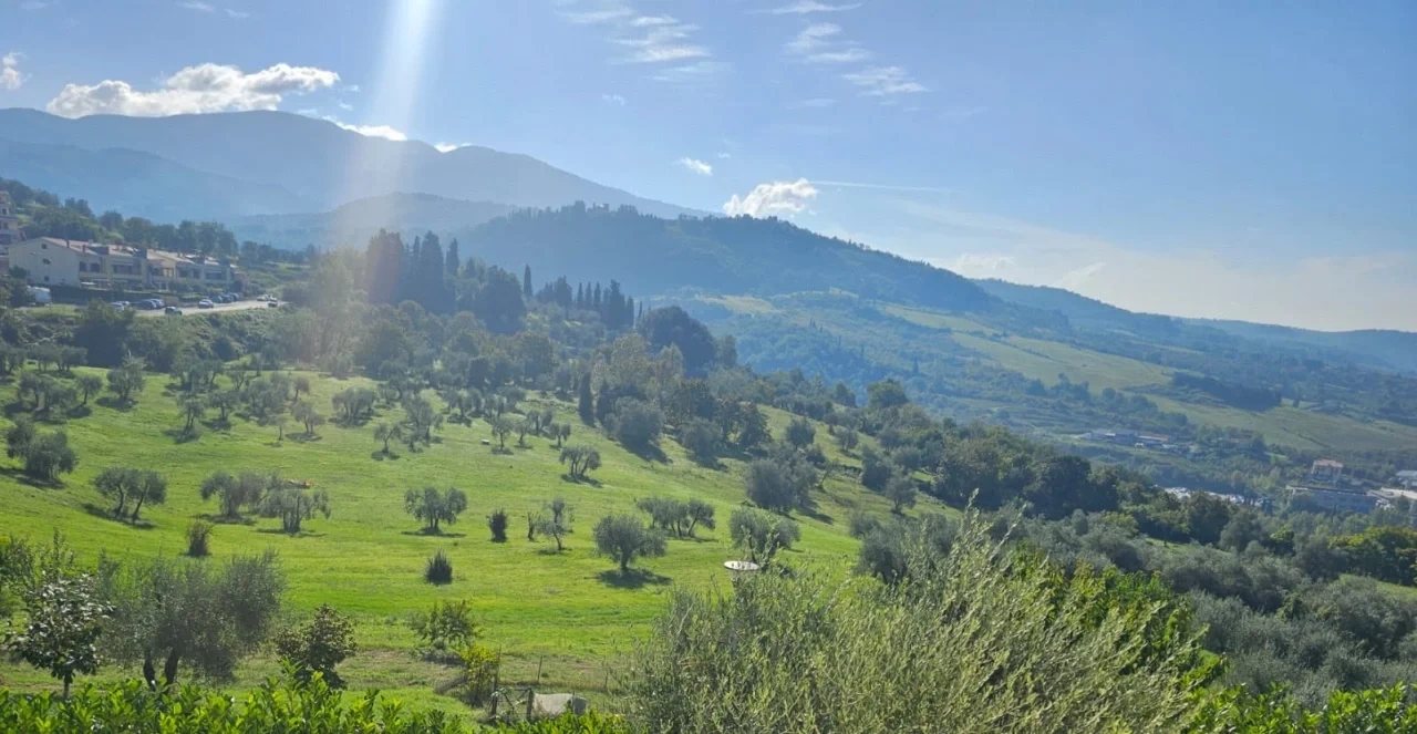 1 - venta terreno pelago toscana italia