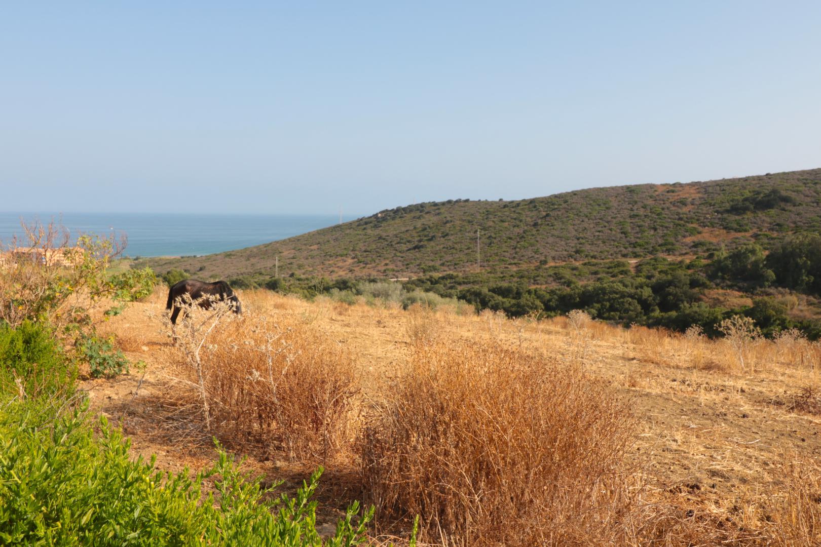 2 - verkauf grundstück meerblick manilva andalusien spanien