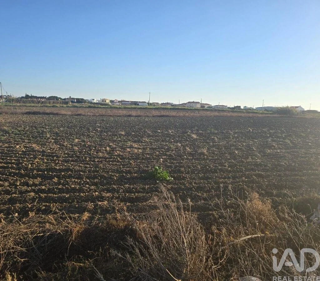 1 - vendita terreno atouguia da baleia regione centro portogallo