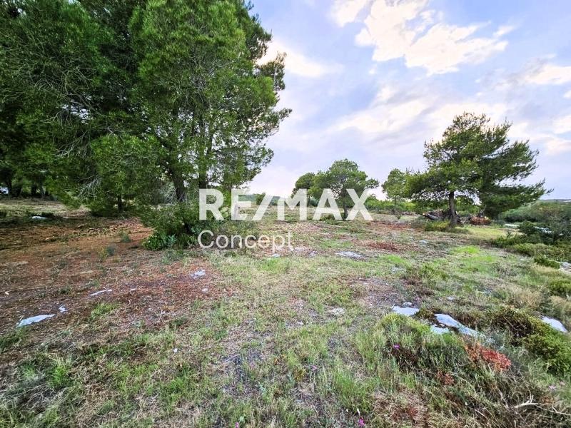 2 - venta terreno vista al mar zante islas jónicas grecia