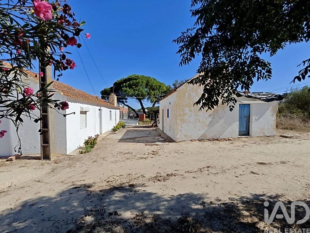 1 - vendita proprietà coruche alentejo portogallo