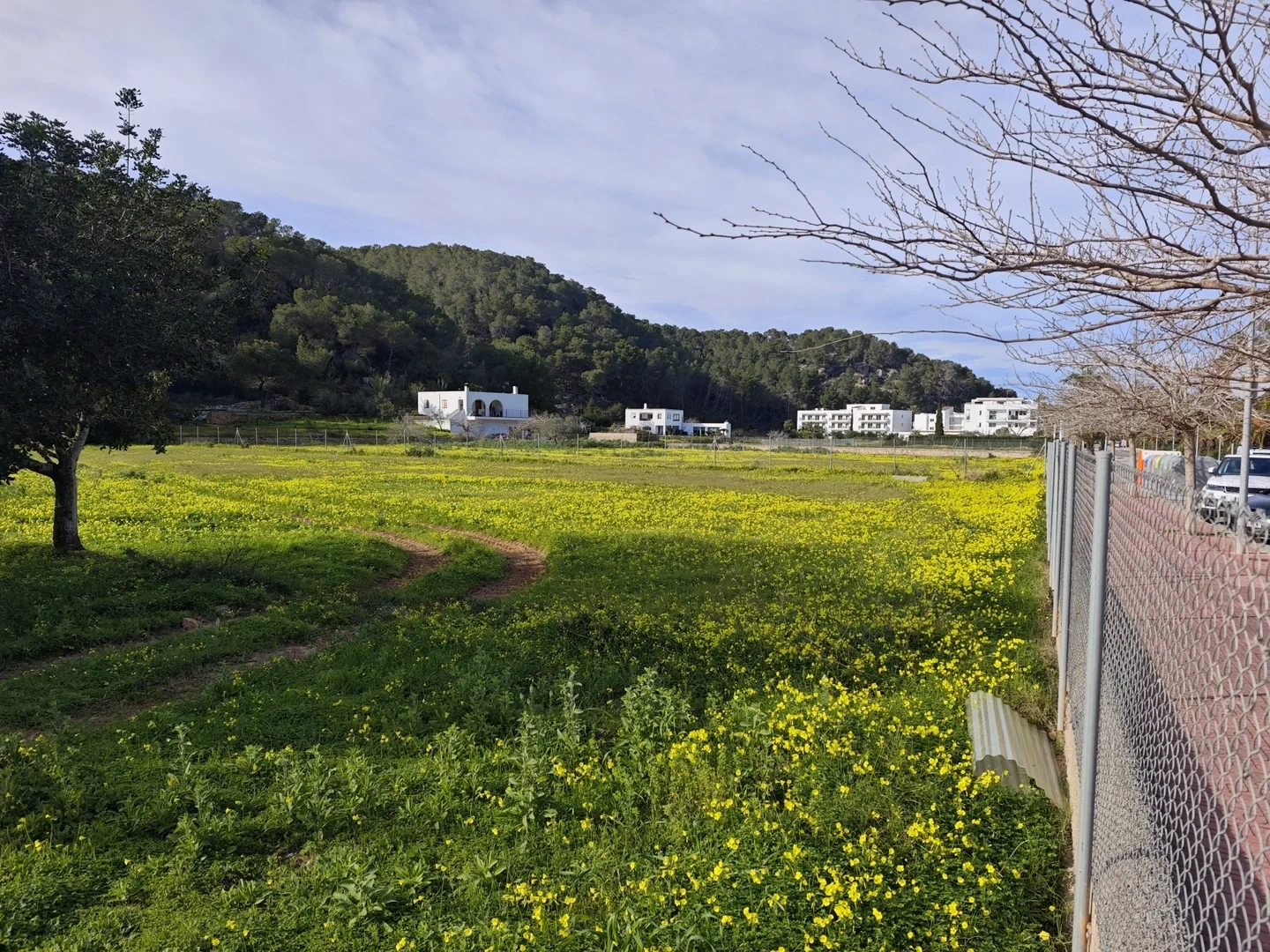 2 - verkoop terrein sant joan de labritja ibiza - balearic islands spanje
