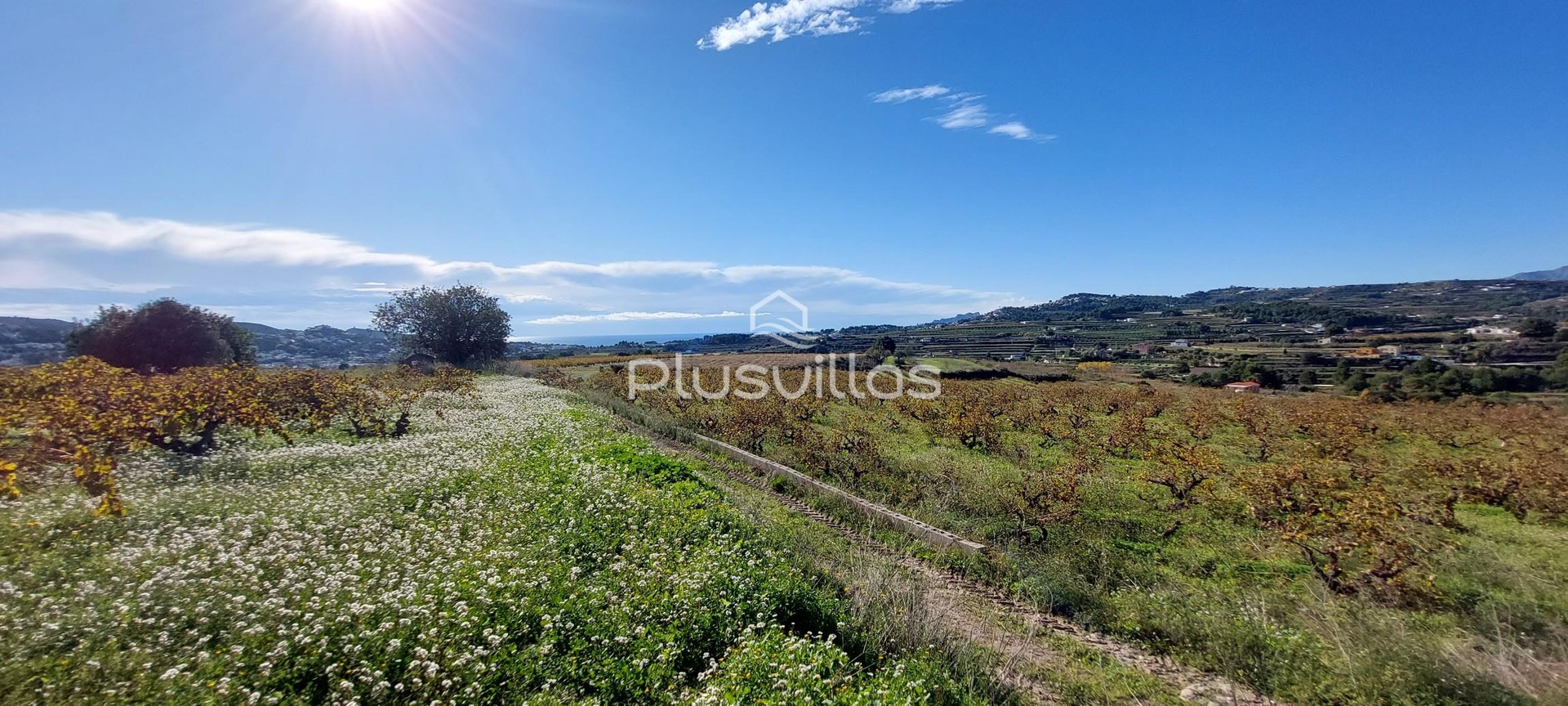 1 - plot of land for sale in teulada valencian community spain
