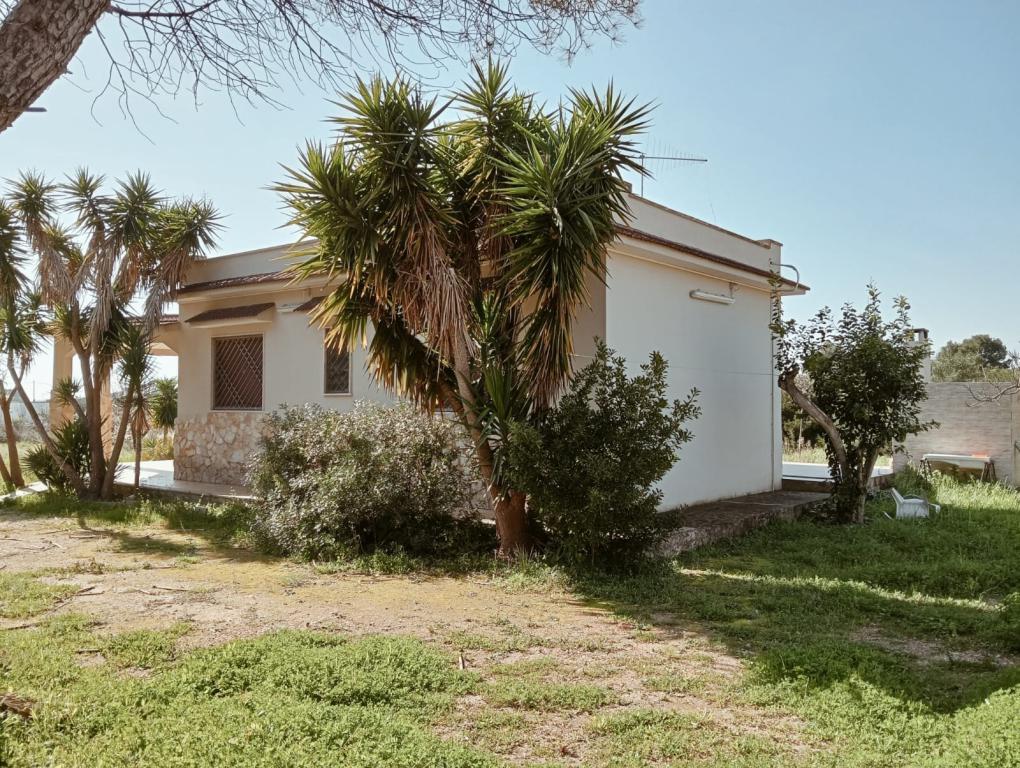 1 - venda casa a praia ao pé torricella apulia itália