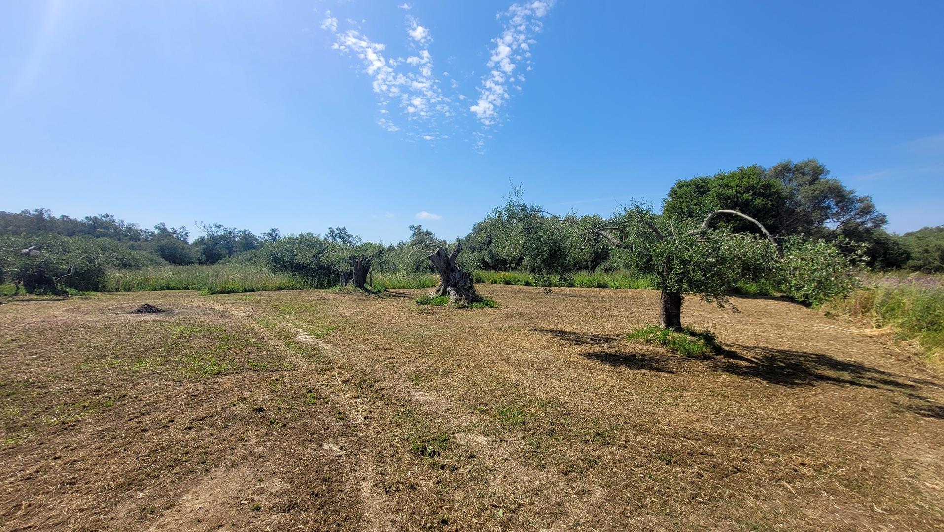 1 - vendita terreno corfu isole ioniche grecia