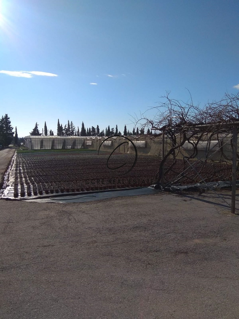 2 - venta terreno kato souli ática grecia