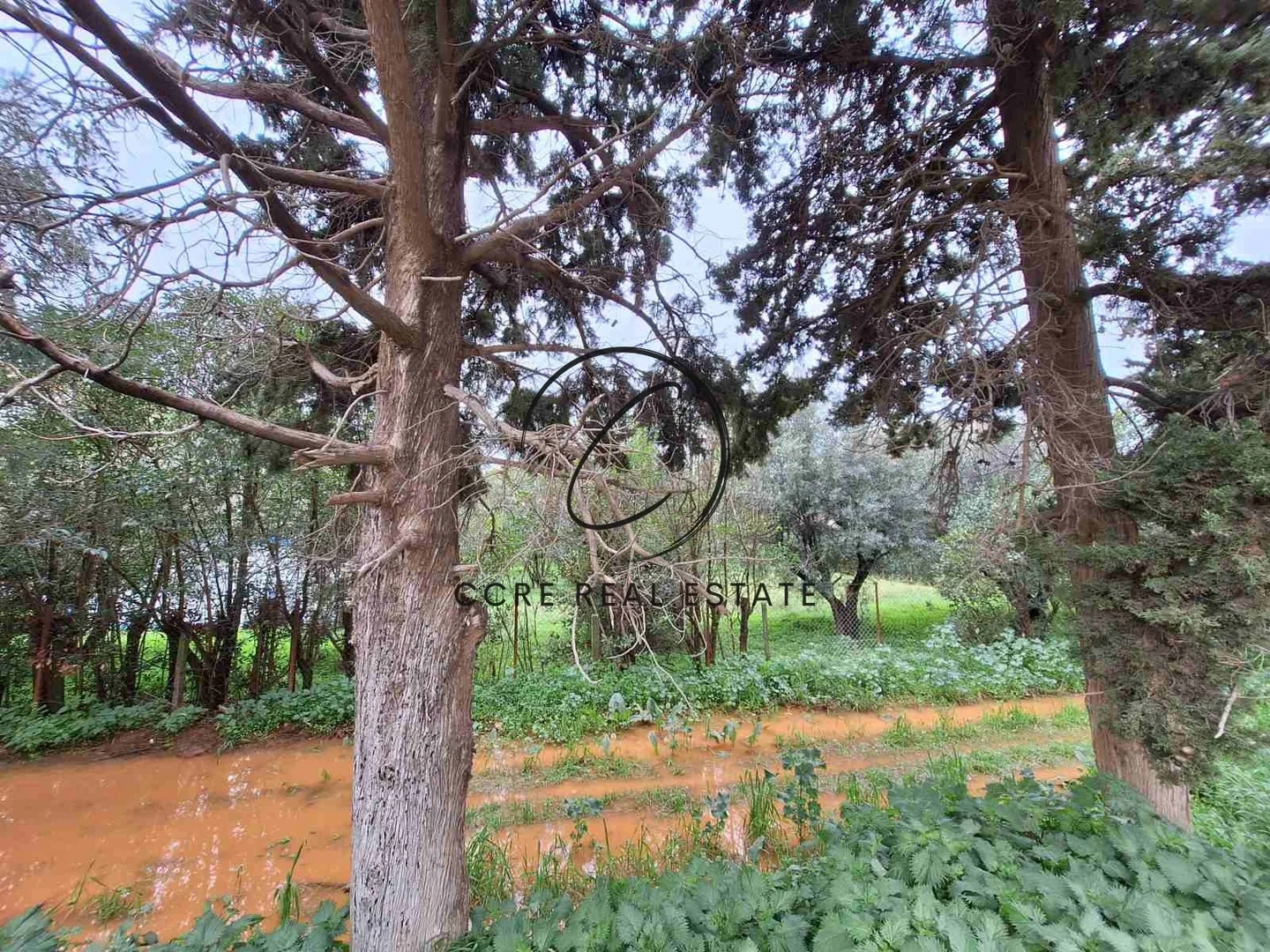 1 - vente terrain marousi attique grèce
