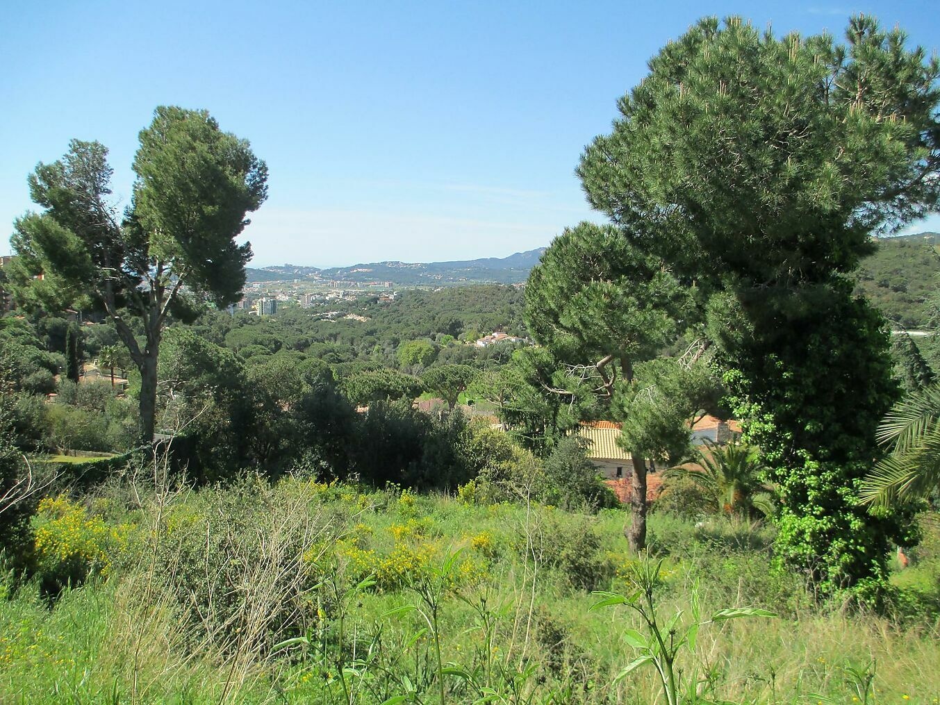 2 - vente terrain vue mer sant antoni de calonge catalogne espagne