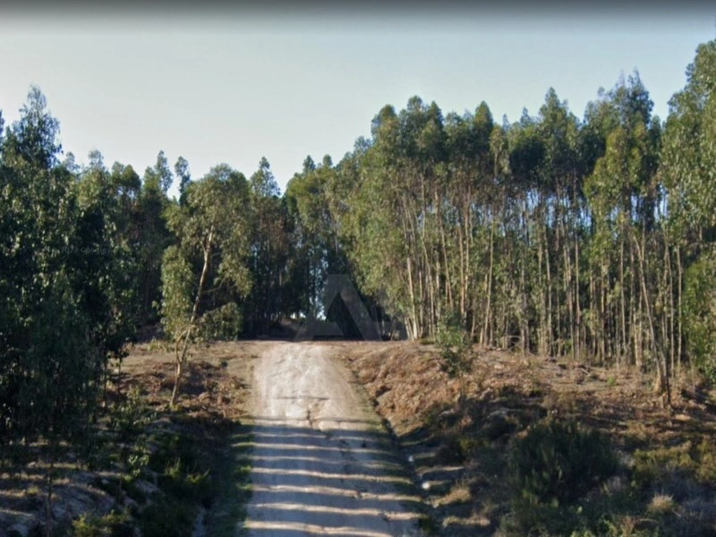 1 - verkauf grundstück torres vedras region zentrum portugal