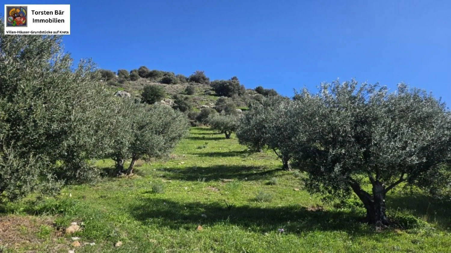 2 - plot of land for sale in kousés crete greece