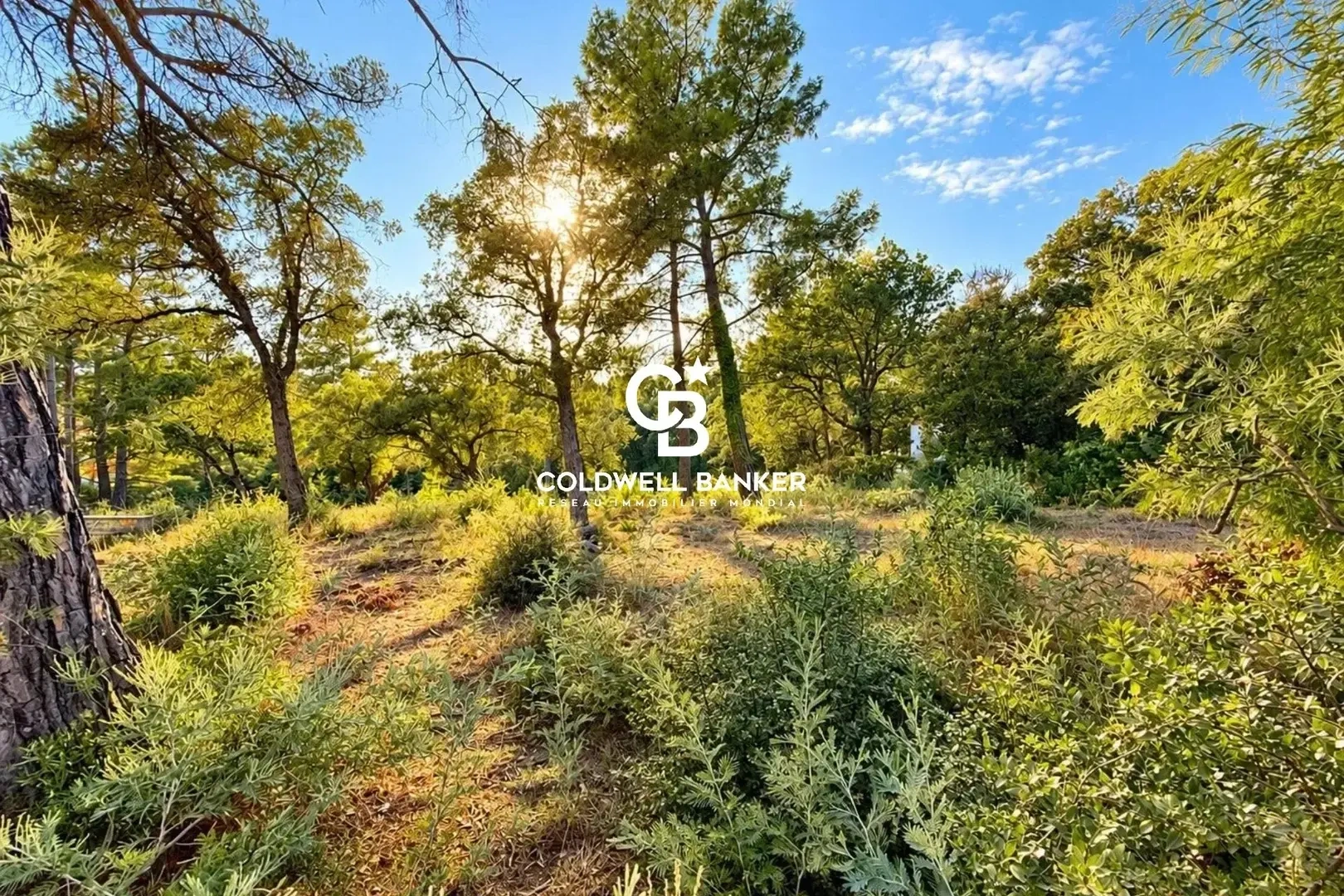 1 - plot of land for sale in grimaud var france