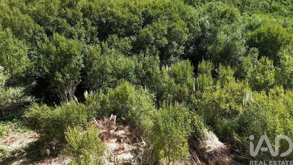 2 - plot of land for sale in carvoeira lisbon region portugal