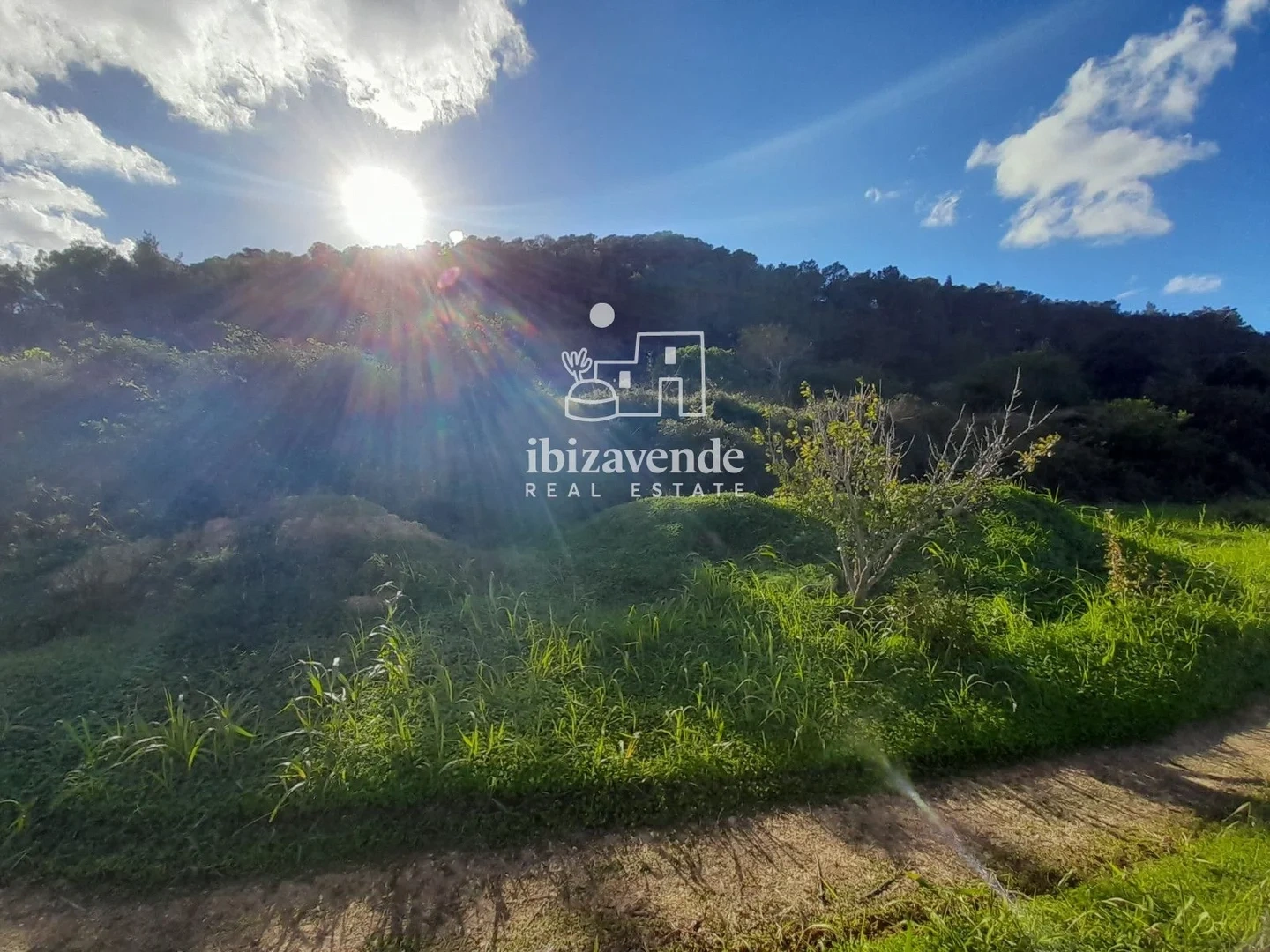 2 - venda propriedade sant josep de sa talaia ibiza - ilhas baleares espanha