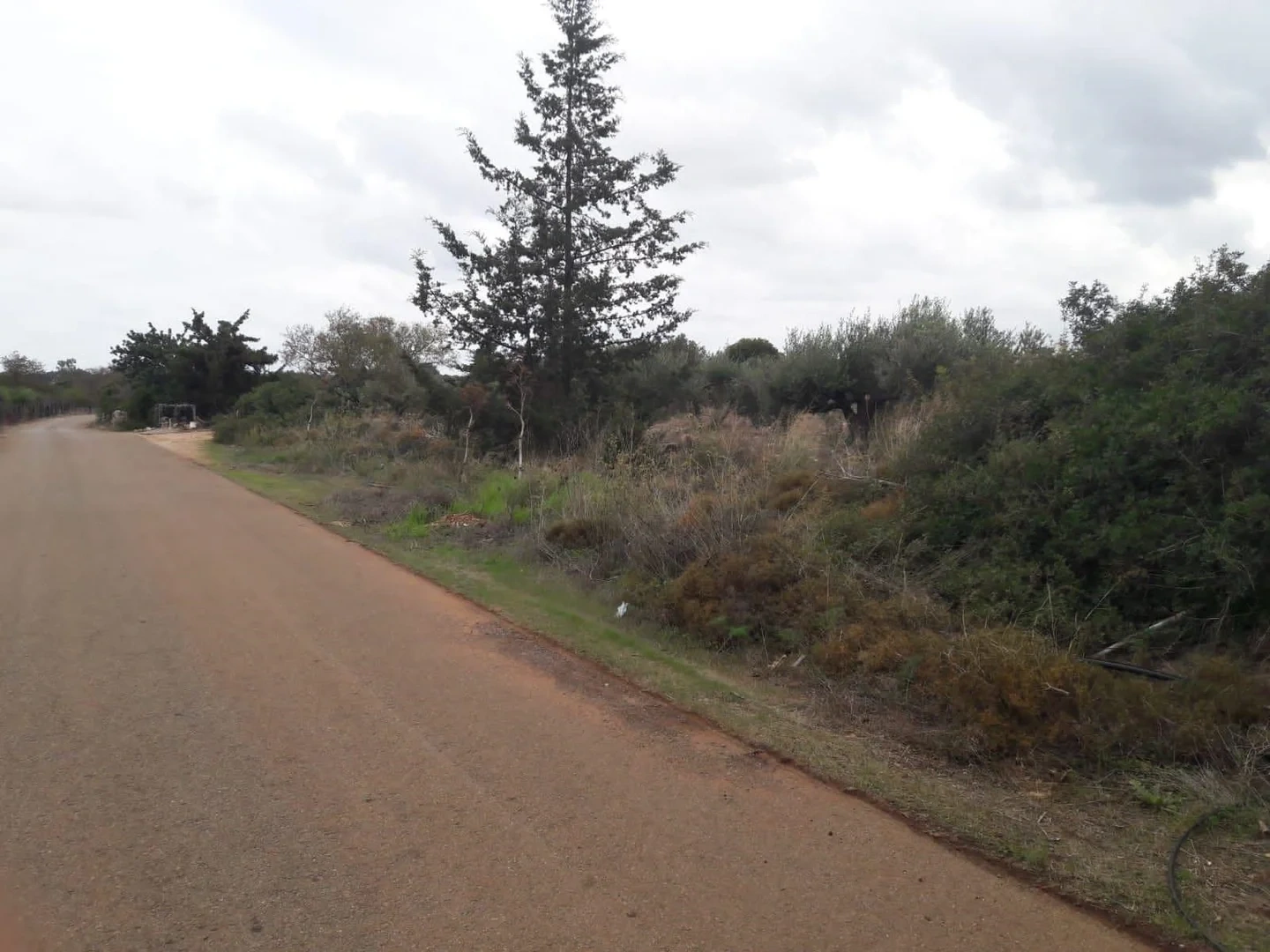1 - vente terrain aróni crète grèce