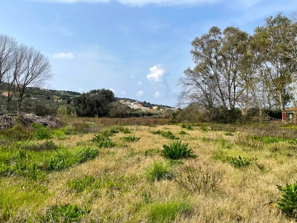 2 - vente terrain sidári îles ioniennes grèce