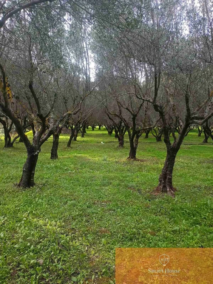 2 - venda terreno áno viánnos creta grécia