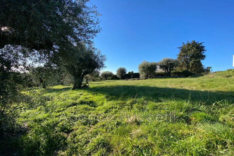 2 - venta terreno vence alpes-marítimos francia